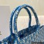 Dior Book Tote Bag in Cornflower Blue Oblique Embroidery 2022