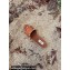 Valentino Grainy Calfskin Leather Rockstud Espadrilles Slide Sandals Brown 2022