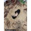 Valentino Studded Ruffled Leather Espadrilles Sandals Black 2022
