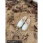 Valentino Studded Ruffled Leather Espadrilles Mules Sandals White 2022