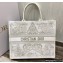Dior Book Tote Bag in Gold-Tone Around the World Stella Embroidery 2022