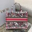 Dior Small Book Tote Bag in Multicolor Butterfly Embroidery 2022