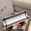 Dior Small Book Tote Bag in Multicolor Latte Cupid Embroidery 2022