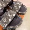 Louis Vuitton Monogram Velvet Jumbo Flatform Mules Gray 2022