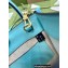 Gucci Tiger GG Mini Tote Bag 671623 Blue 2022