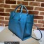 Gucci Small Tote Bag with Gucci Logo 674822 Blue 2022