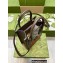 Gucci Tiger GG Mini Tote Bag 671623 Brown 2022