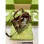 Gucci GG Carnation Print Mini Tote Bag 671623 2022