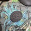 Gucci Tiger GG Small Tote Bag 659983 Flower Print 2022