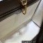 Gucci Tiger GG Small Tote Bag 659983 Flower Print 2022