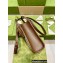 Gucci GG Carnation Print Mini Tote Bag 671623 2022