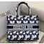 Dior Small Book Tote Bag in Dior Étoile Embroidery Blue/White 2022