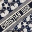 Dior Small Book Tote Bag in Dior Étoile Embroidery Blue/White 2022