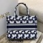 Dior Small Book Tote Bag in Dior Étoile Embroidery Blue/White 2022