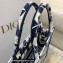 Dior Small Book Tote Bag in Dior Étoile Embroidery Blue/White 2022
