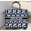 Dior Book Tote Bag in Dior Étoile Embroidery Blue/White 2022