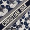Dior Book Tote Bag in Dior Étoile Embroidery Blue/White 2022