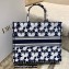 Dior Book Tote Bag in Dior Étoile Embroidery Blue/White 2022