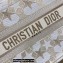 Dior Small Book Tote Bag in Dior Étoile Embroidery Gold 2022