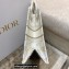 Dior Small Book Tote Bag in Dior Étoile Embroidery Gold 2022