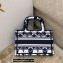 Dior Mini Book Tote Bag in Dior Étoile Embroidery Blue/White 2022