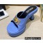 Versace Icon Crysatl Medusa Medallion Heel Mules Leather Light Blue 2022