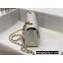 Chanel Mini Classic Flap Handbag A69900 in Lambskin Pearl Pale Silver