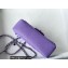 Chanel Small Classic Flap Handbag A01116 in Caviar Leather Purple/Silver