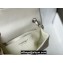 Chanel Small Classic Flap Handbag A01116 in Caviar Leather with Edge Stitching White/Silver