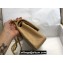Chanel Medium Classic Flap Handbag A01112 in Caviar Leather with Edge Stitching Beige/Gold