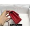 Chanel Small Classic Flap Handbag A01116 in Caviar Leather Red/Silver