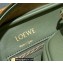 Loewe Amazona 19 square bag in nappa calfskin Green