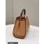 Fendi Peekaboo Iconic Mini Bag Brown in Calfskin Leather with FF Lining
