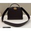Fendi Peekaboo Iconic Mini Bag Coffee in Calfskin Leather with FF Lining