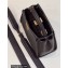 Fendi Peekaboo Iconic Mini Bag Coffee in Calfskin Leather with FF Lining