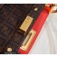 Fendi Peekaboo Iconic Mini Bag Orange Red in Calfskin Leather with FF Lining