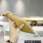 Valentino Heel 4cm VLogo Signature Patent Leather Mules Nude