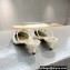 Valentino Heel 4cm VLogo Signature Patent Leather Mules White