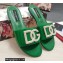 Dolce & Gabbana Calfskin Sliders Green with DG Logo 2022