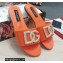 Dolce & Gabbana Calfskin Sliders Orange with DG Logo 2022