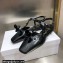 Dior Heel 1cm Rose Fantastique Slingback Flats Black 2022