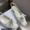 Dior Heel 1cm/3.5cm Rose Fantastique Slingback Flats/Pumps White 2022