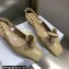 Dior Heel 1cm/3.5cm Rose Fantastique Slingback Flats/Pumps Nude 2022