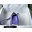 Chanel Small LE BOY Handbag A67085 in Caviar Leather Purple/Shine Silver