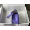 Chanel Medium LE BOY Handbag A67086 in Caviar Leather Purple/Shine Silver