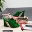 Dolce & Gabbana Heel 11cm Mules Suede Green with Geometric Heel 2022