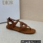 Dior D-Club Flat Thong Sandals Brown 2022