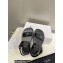 Celine CLEA TRIOMPHE SANDALs in Vegetal Calfskin Black 2022