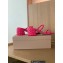 Gianvito Rossi Heel 6cm FLOREA Slip-on Mules Fuchsia 2022