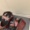 Chanel Logo Platform Sandals Burgundy 2022